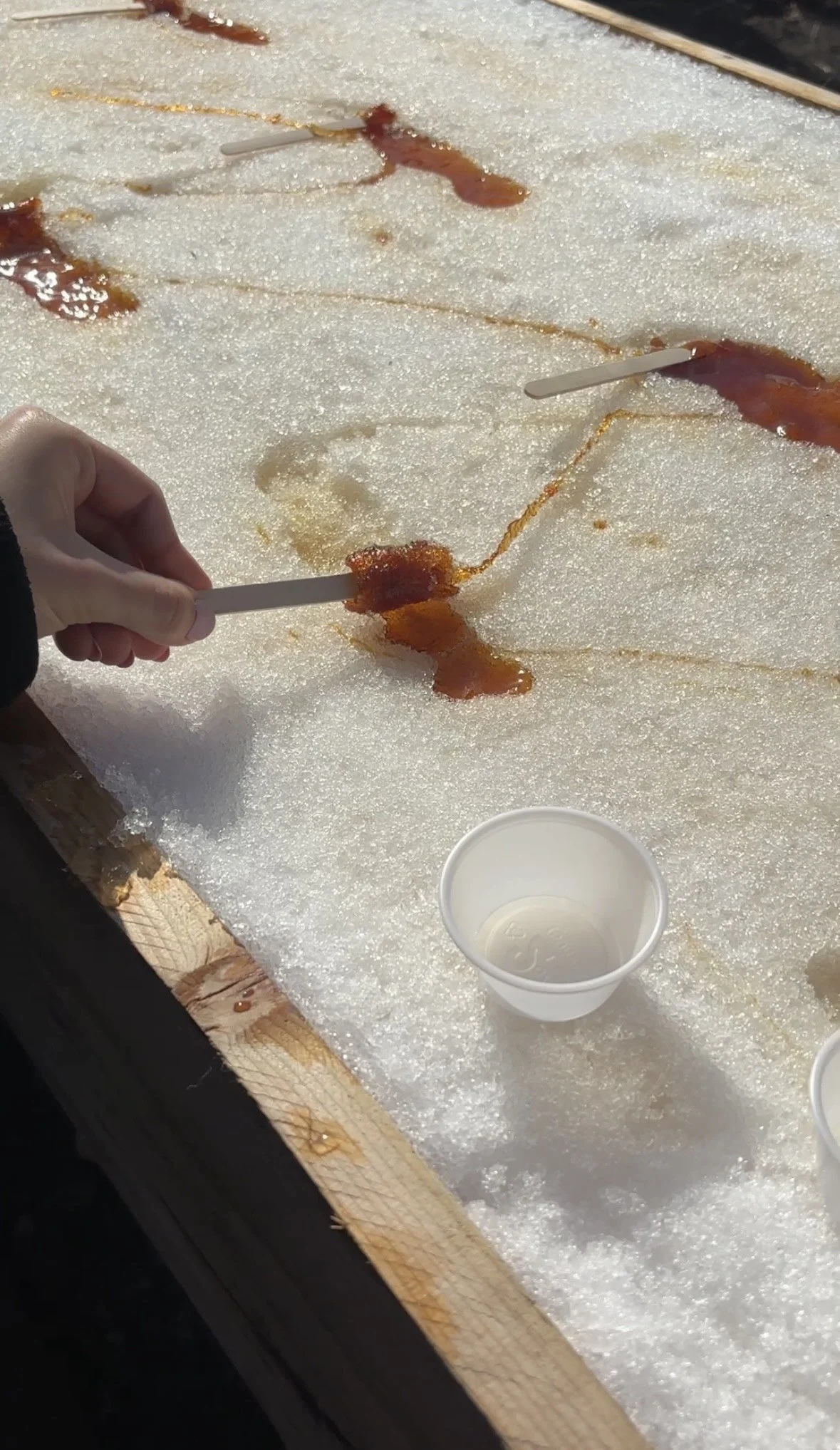 Kings Landing Maple Candy.jpeg