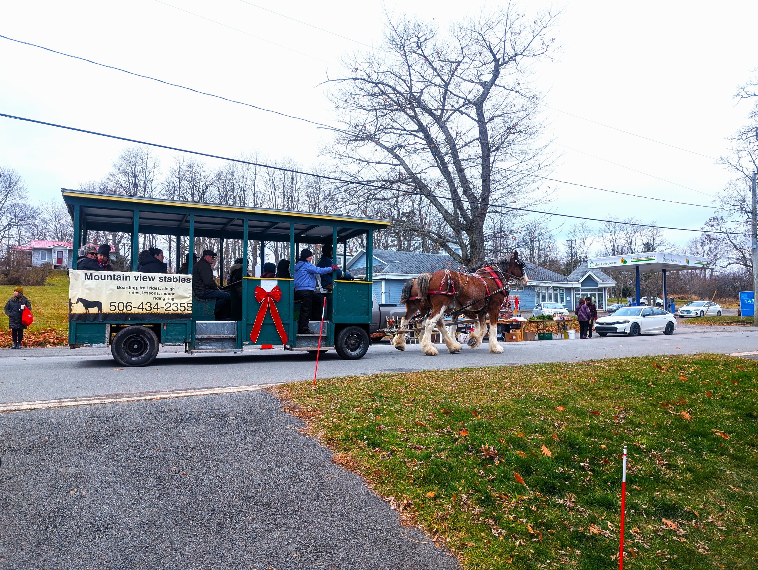 Christmas in the Village - Horse Carriage 1.jpg