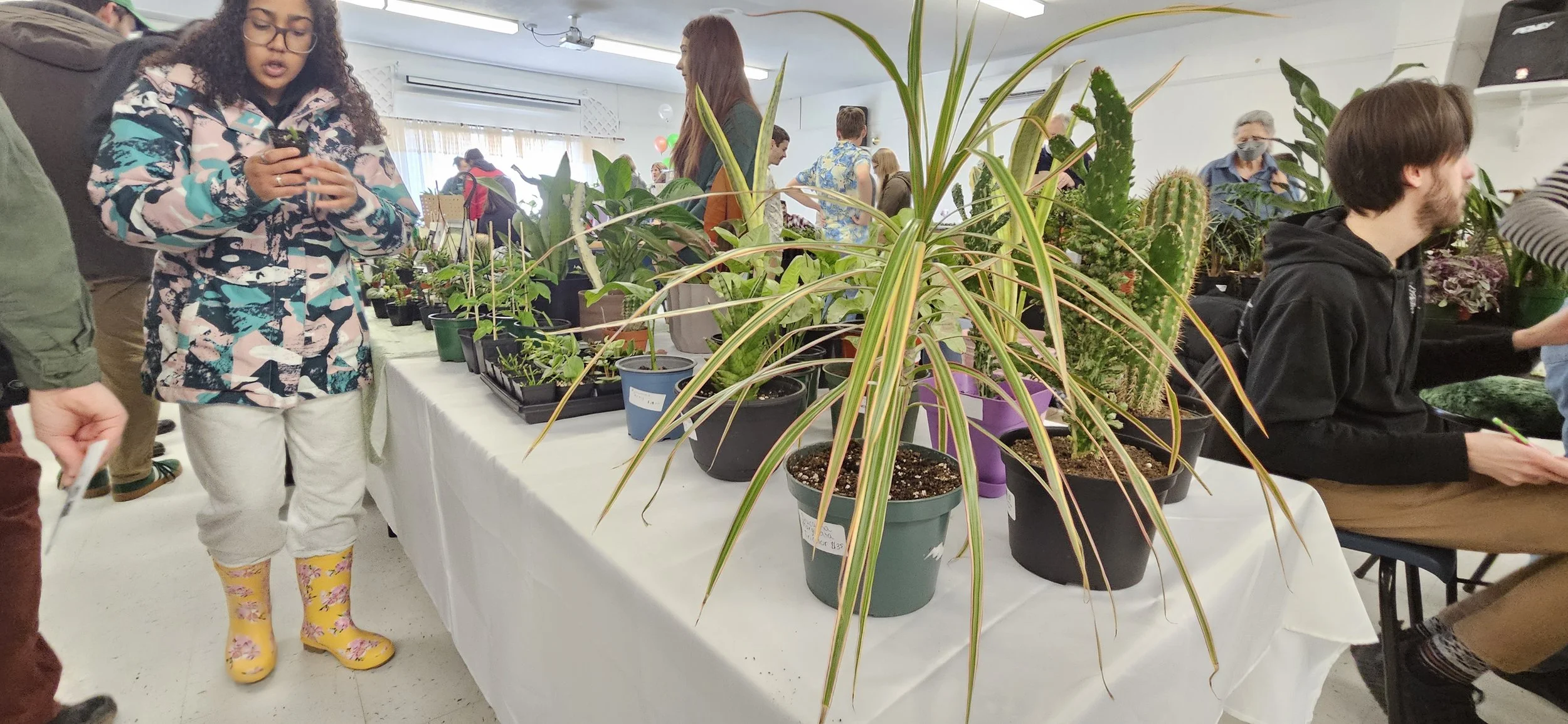 Plant Expo plants.jpg