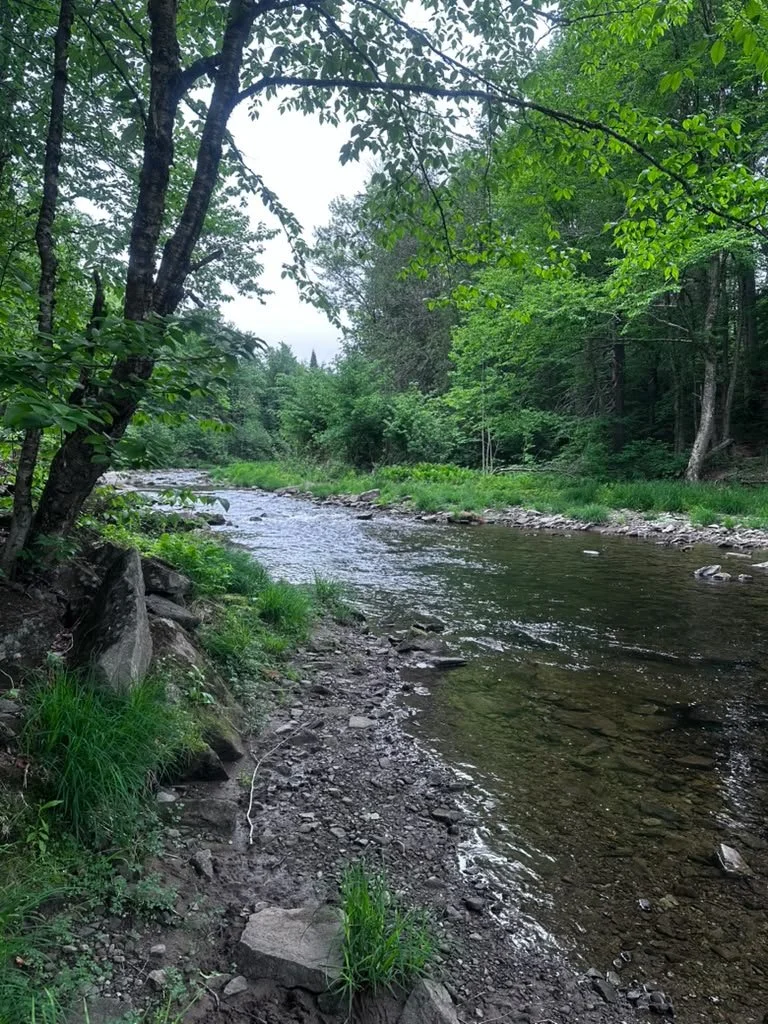 20260612_133757000_iOS.jpg
