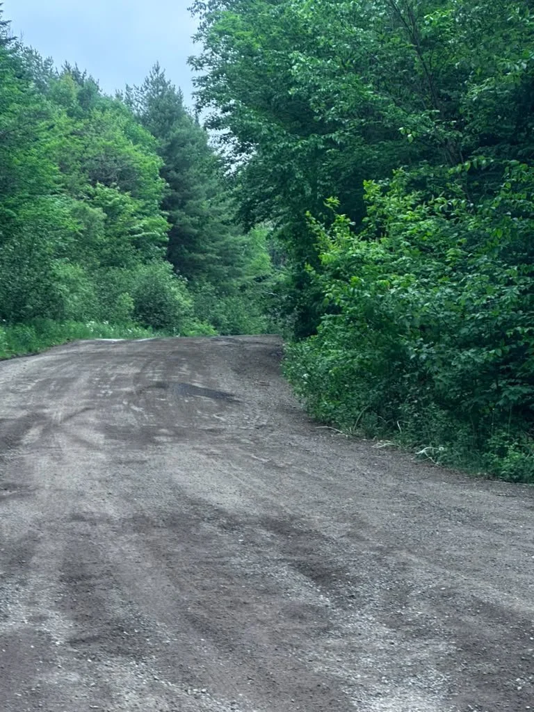 20260612_134123000_iOS 2.jpg