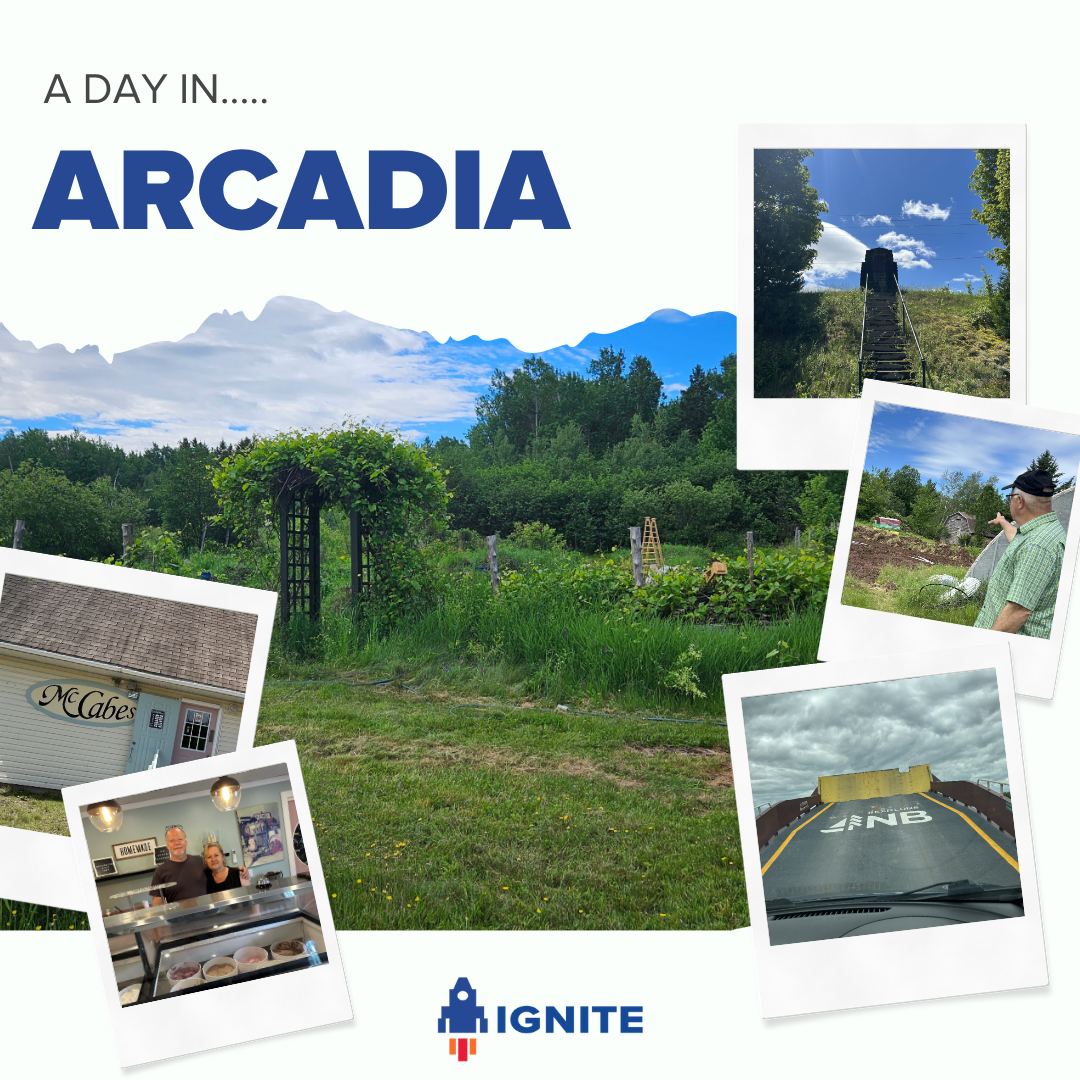 A Day in Arcadia - Exploring Paradise with the Ignite Marketing Team 