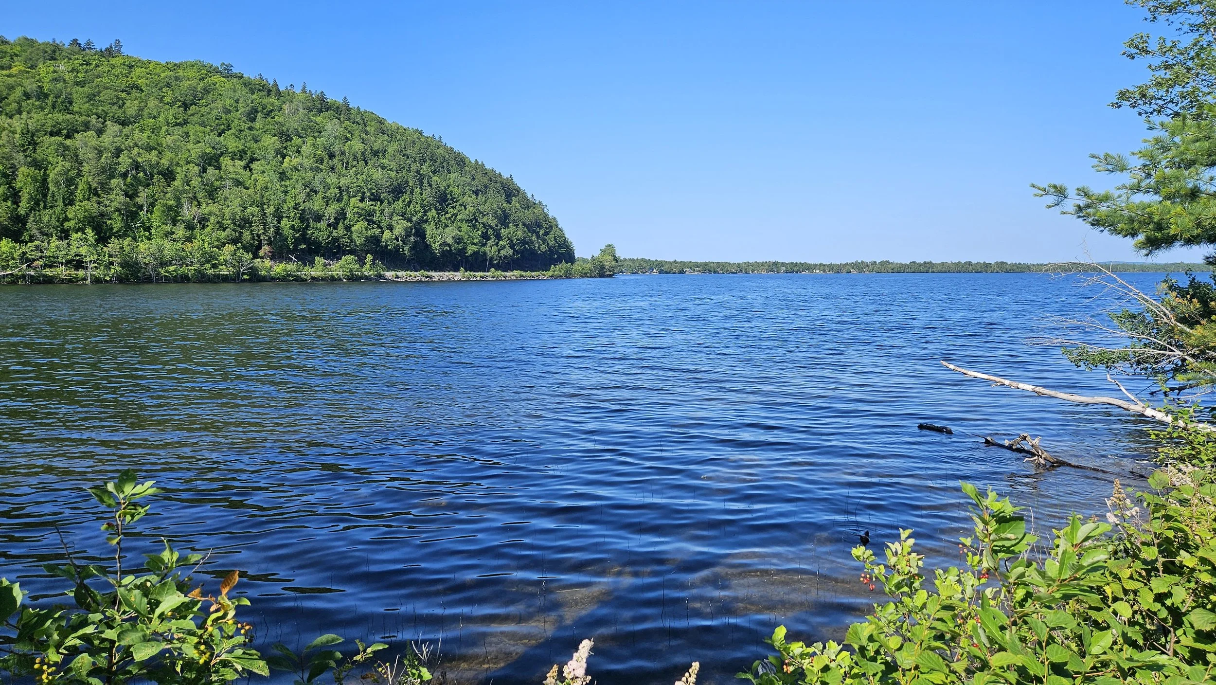 Grieve Trail - View.jpg