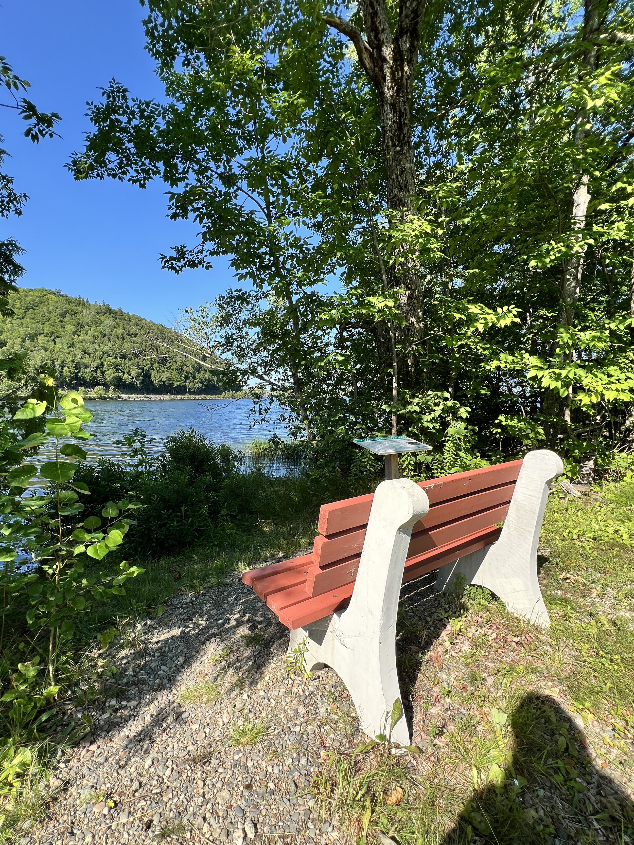 Grieve Trail x6.jpeg