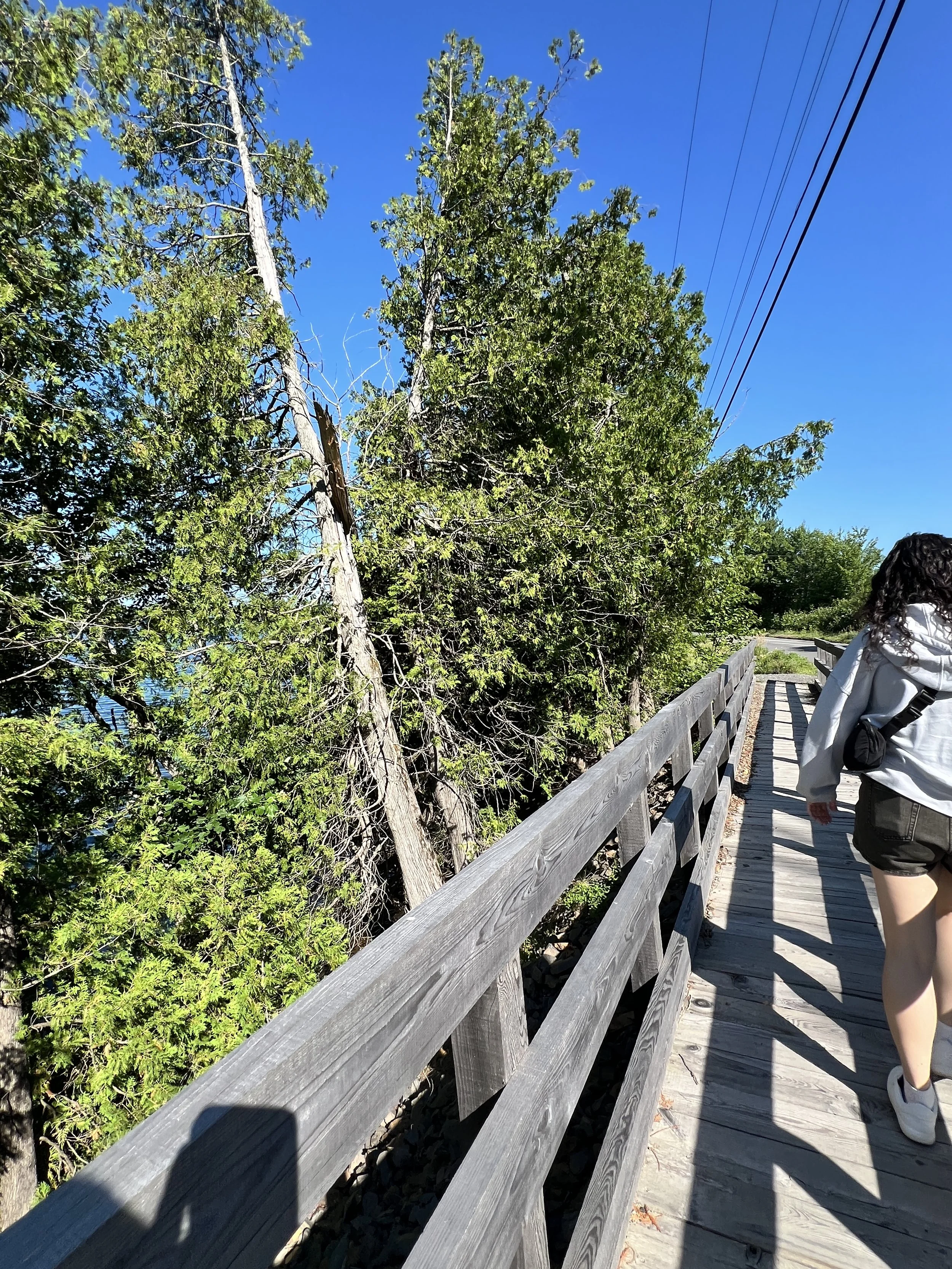Grieve Trail x4.jpeg