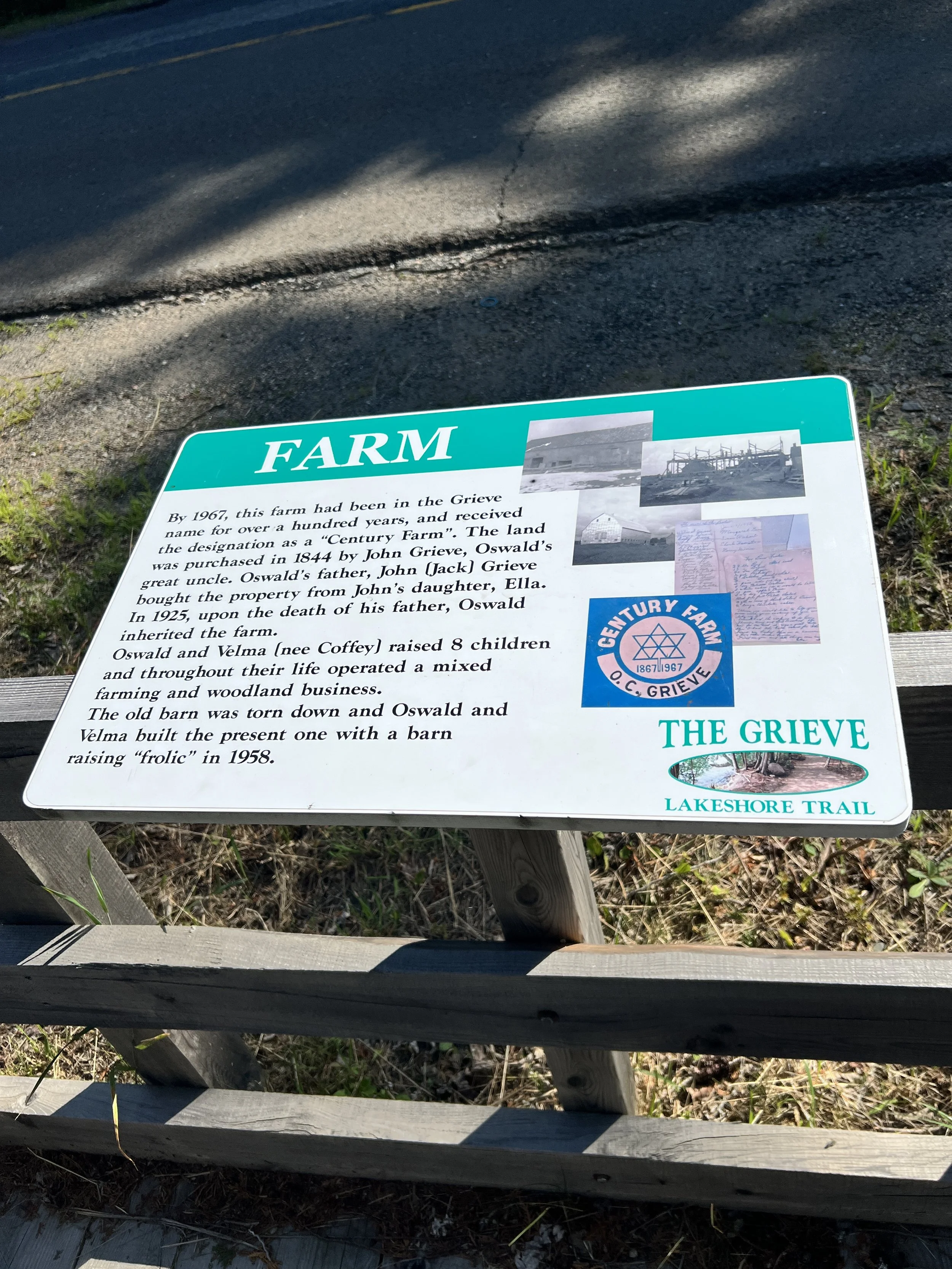 Grieve Trail x3.jpeg