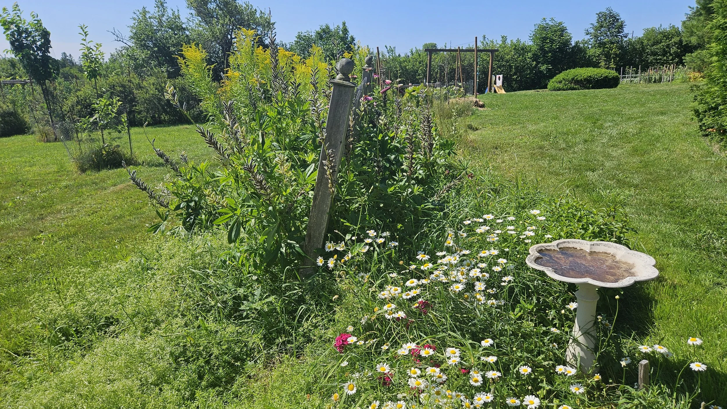 Six Blossoms Orchard - Gardens2.jpg
