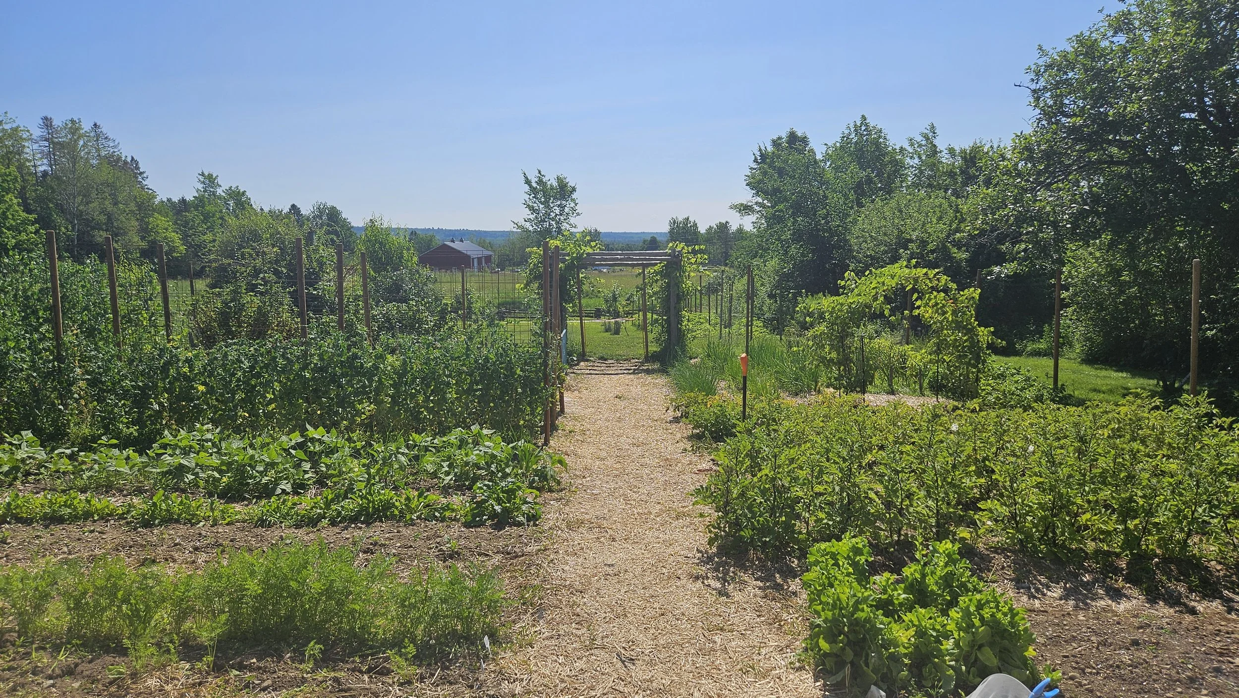 Six Blossoms Orchard - Gardens1.jpg