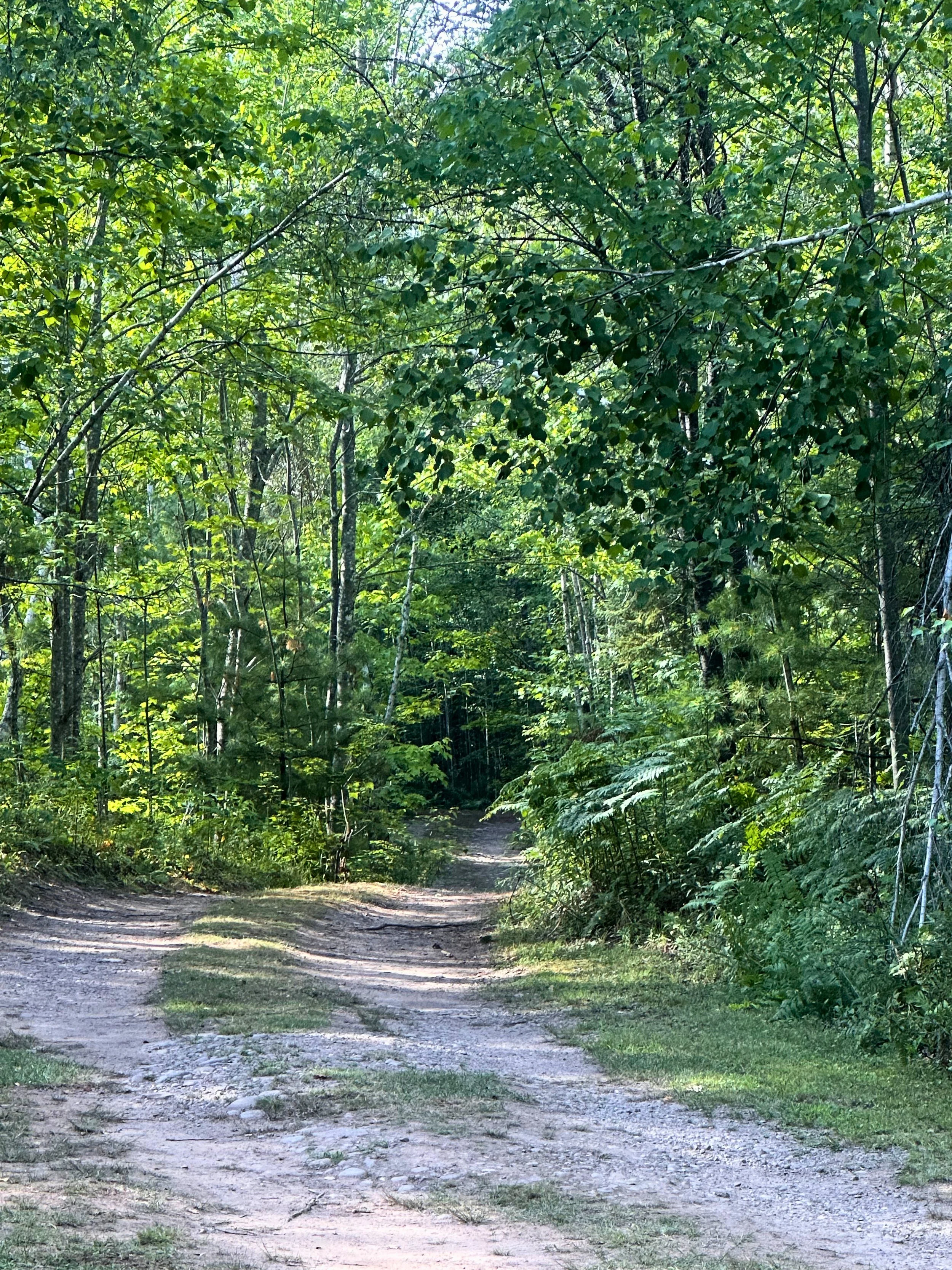 Tiny Trails trail entrance.jpg