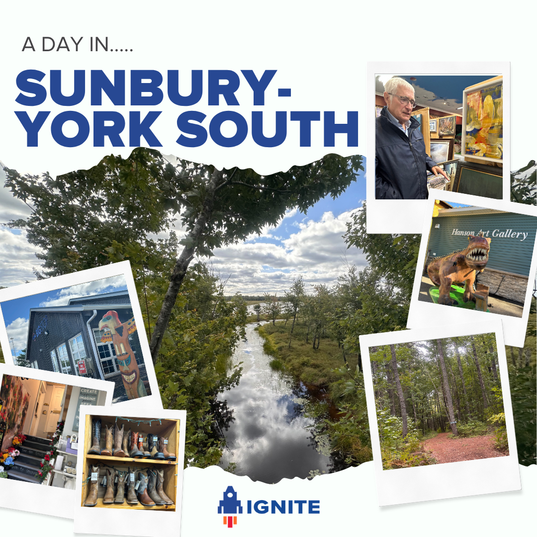 One Day, So Much to Discover: Sunbury-York South