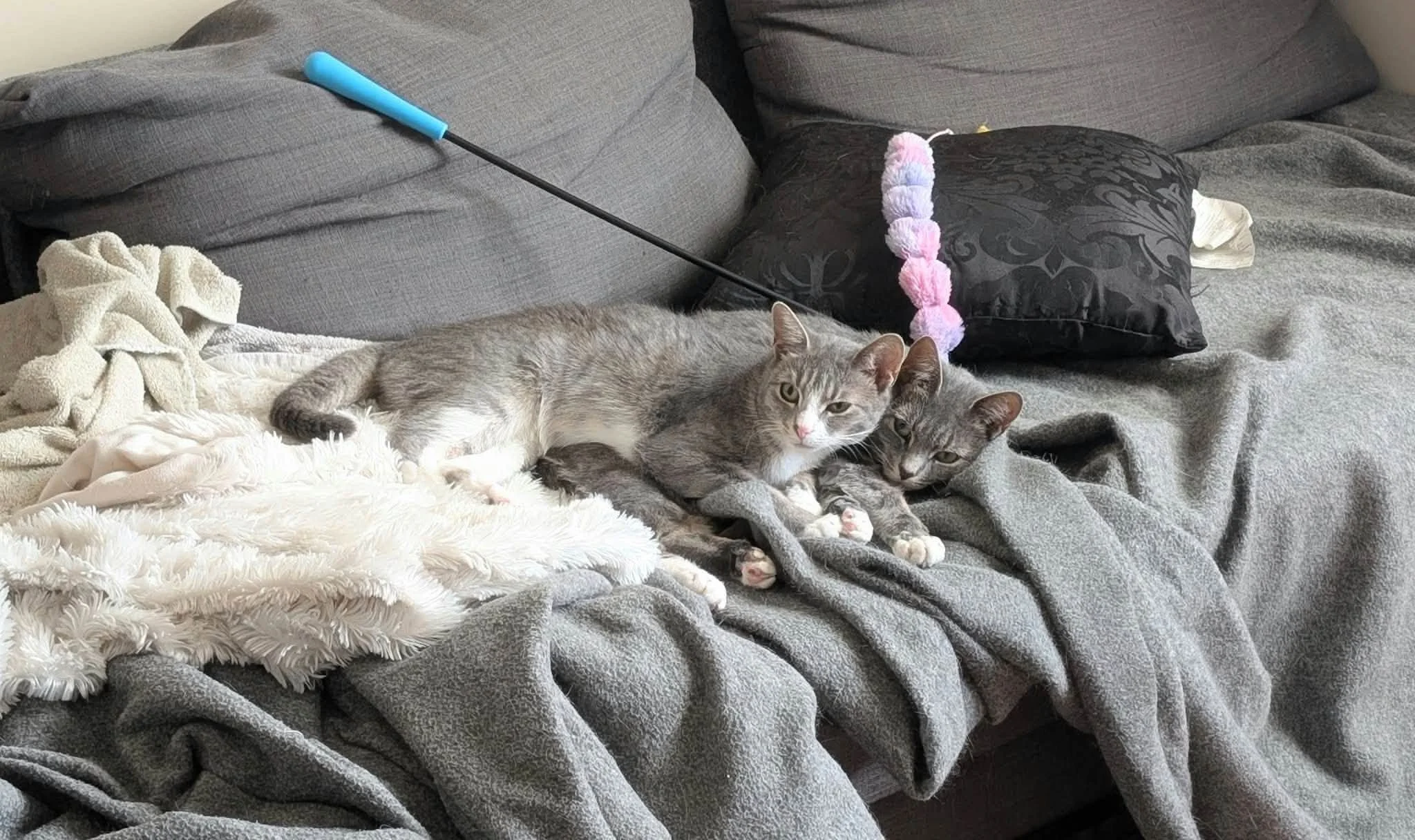 Rosalee and Daisy.jpg