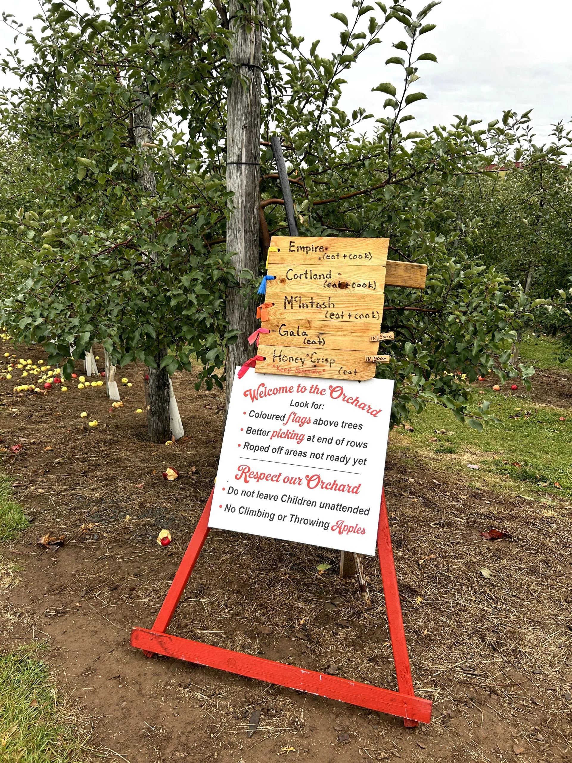 Everett Family Orchard 21.jpg