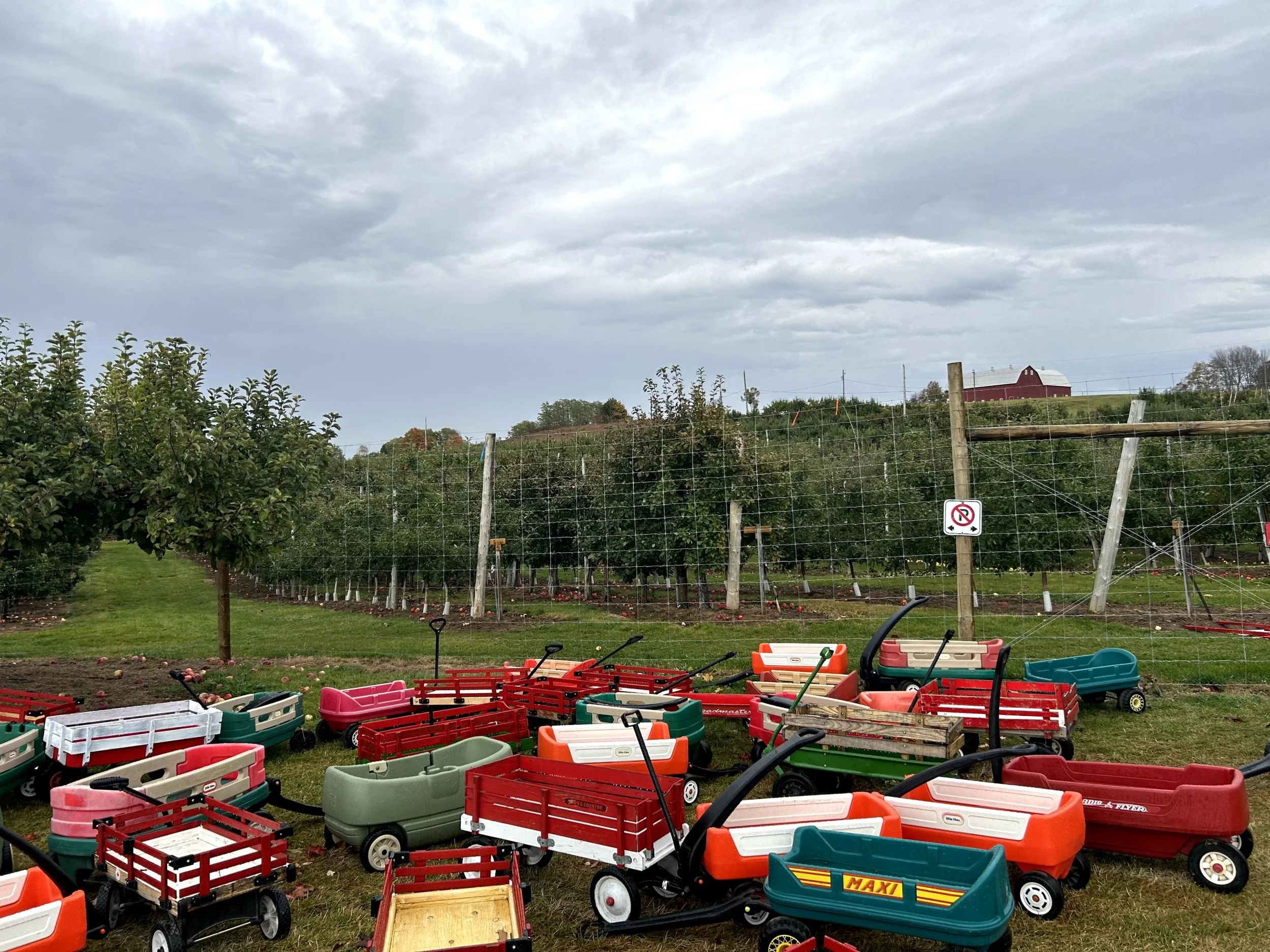 Everett Family Orchard 5.jpg