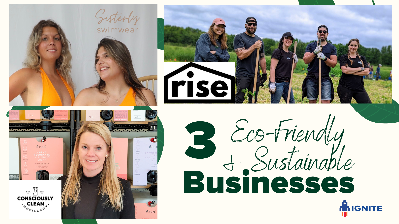 3 EcoFriendly and Sustainable Businesses in the Capital Region — Ignite