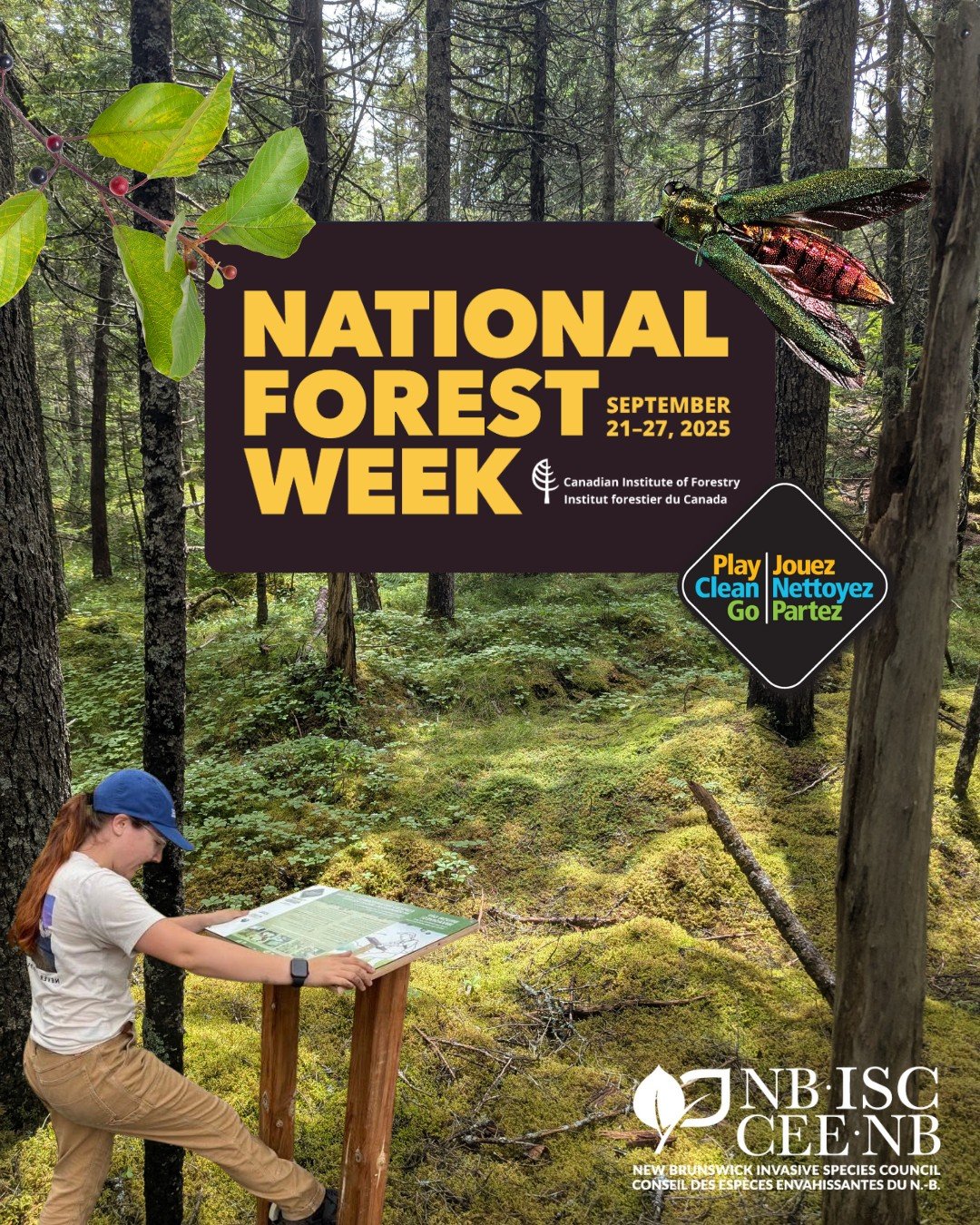 Happy #NationalForestWeek! 🌲

This week, we&rsquo;re celebrating the incredible forests of New Brunswick which are home to resilient systems that capture carbon, provide vital wildlife habitat, and offer endless opportunities for outdoor adventure!
