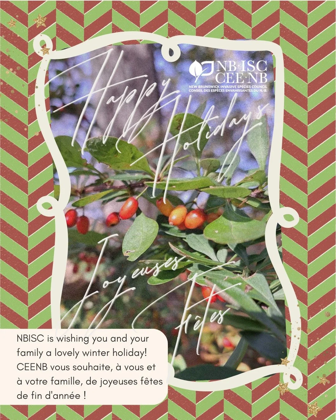 Happy Holidays from NBISC!✨

As the year comes to a close, we want to take a moment to thank everyone who has gotten involved with us throughout 2025. This year brought many changes and opportunities for growth at NBISC, and we are excited to see wha
