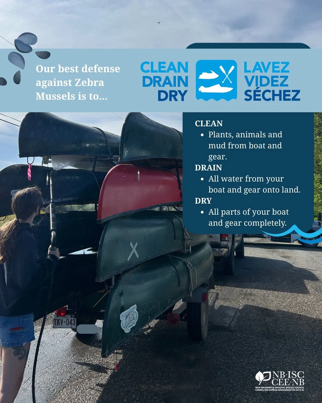 🌊Once zebra mussels have been established, they are extremely difficult to get rid of. Our best defense is prevention and early action! 

🧼What you can do: 
▪ Clean boats, trailers, and gear after every use, bonus points if it&rsquo;s hot water 
▪ 