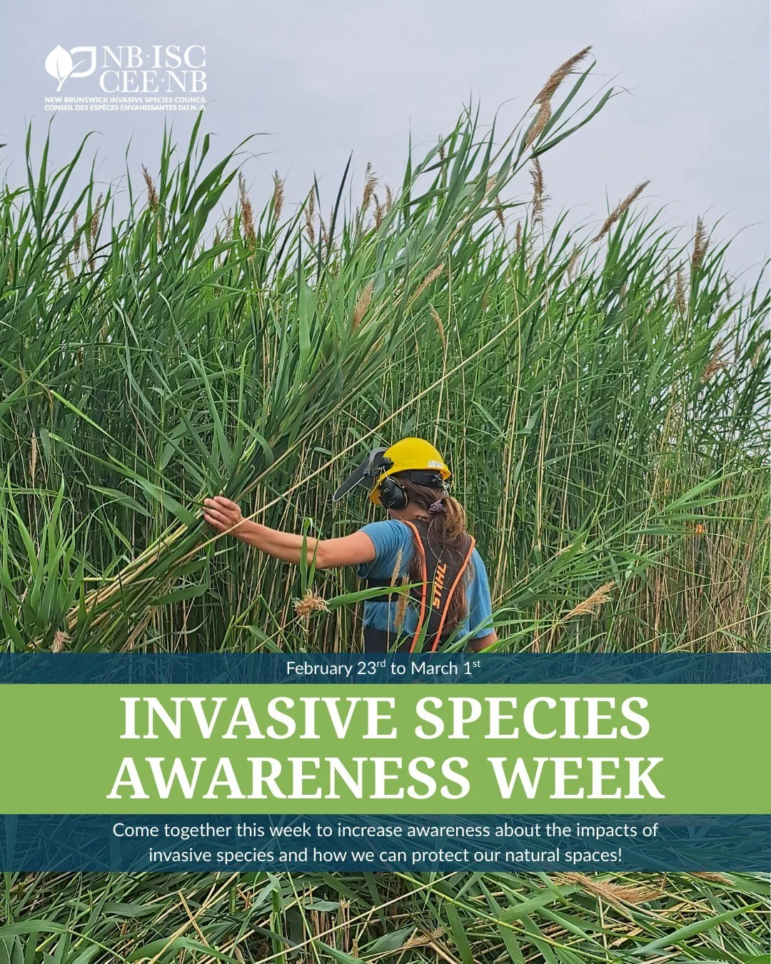📣It's the start of Invasive Species Awareness Week!

🌿Throughout the week we encourage you to increase your awareness about the impact invasive species have on our natural environments and what we can all do to stop the spread! Remember to Buy Loca