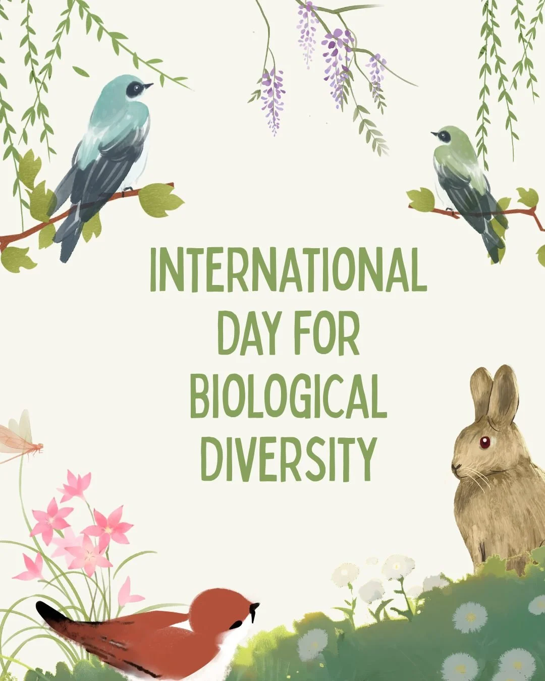 International Day for Biological Diversity is a time to celebrate and protect the biodiversity that is the foundation of our world. 

Invasive species pose a special threat to biodiversity, so today consider how you can stop their spread and protect 