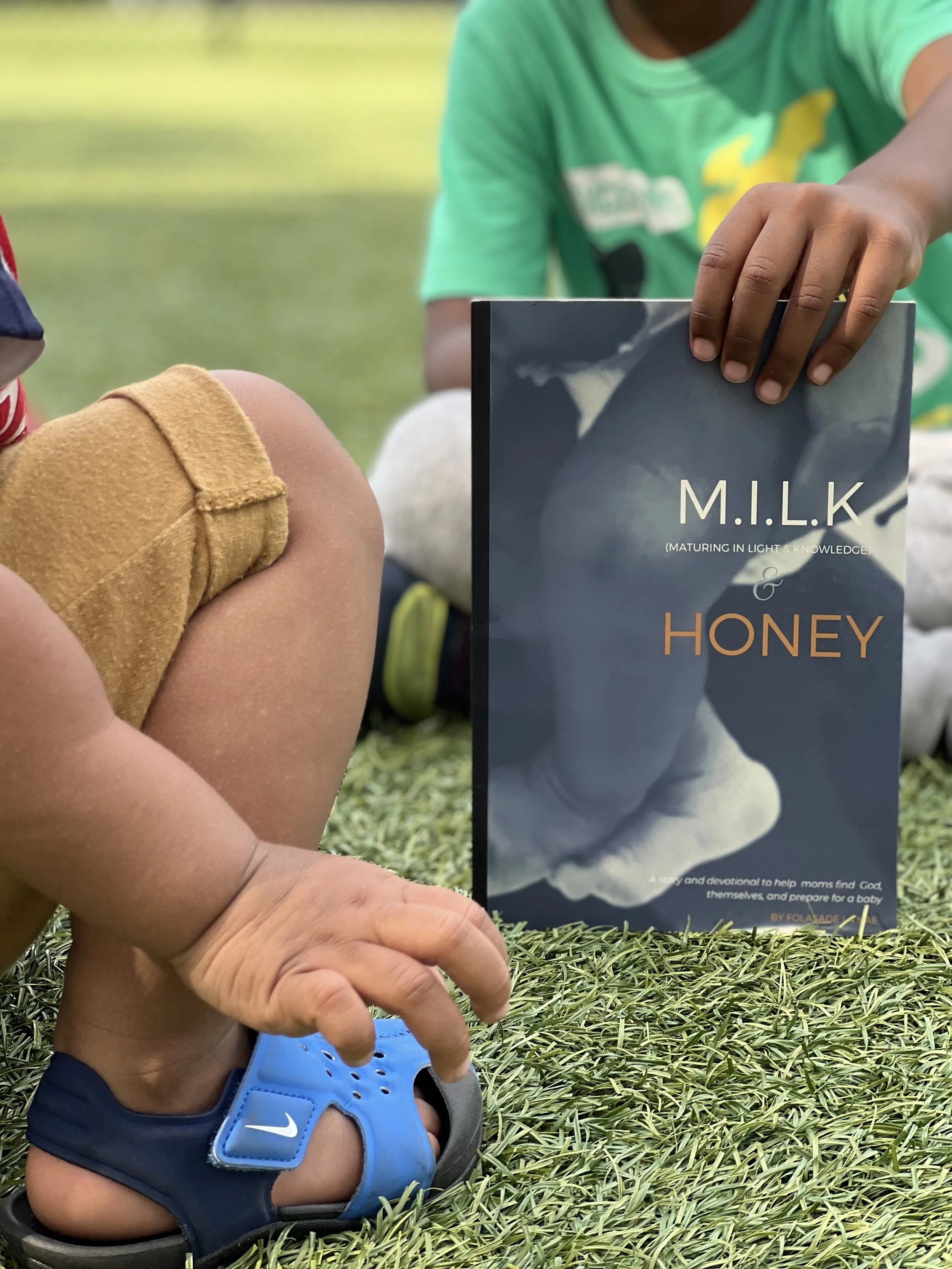 M.I.L.K & Honey Book Cover