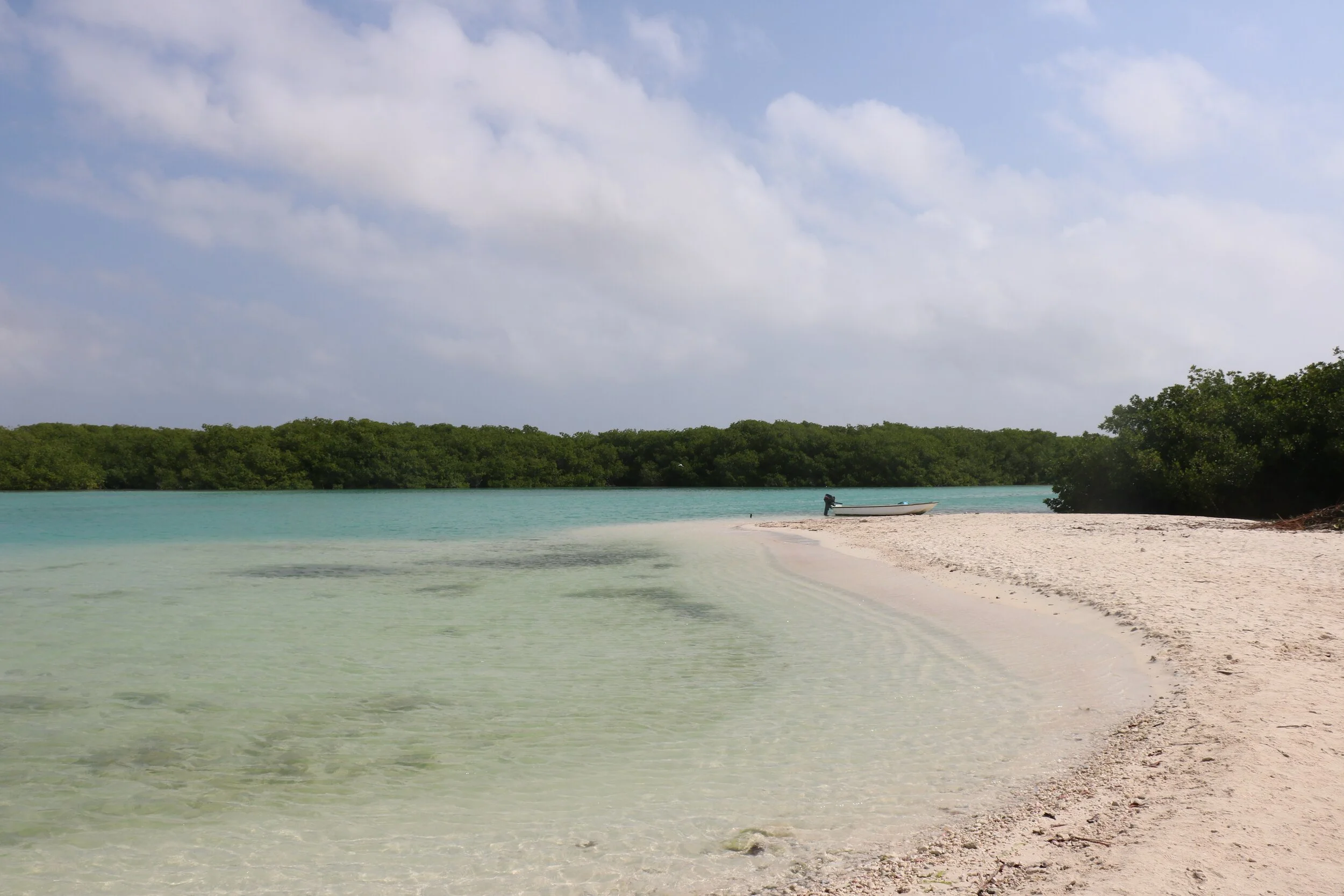 Lac cai on Bonaire