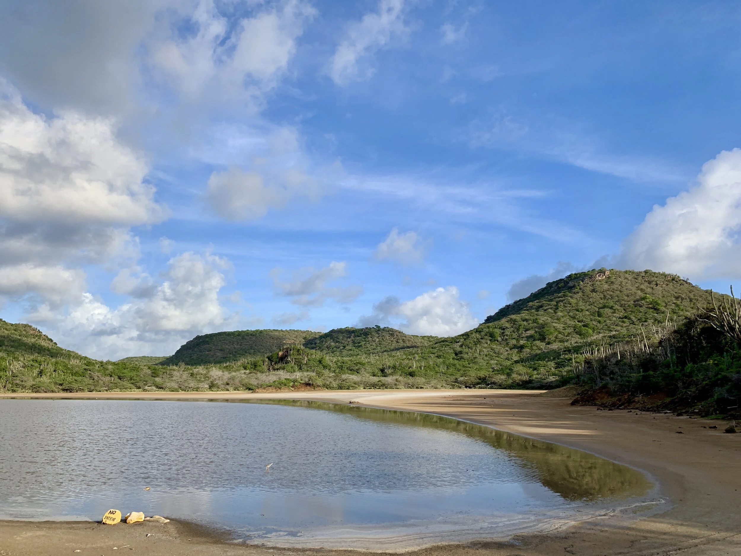 Lake goto on Bonaire