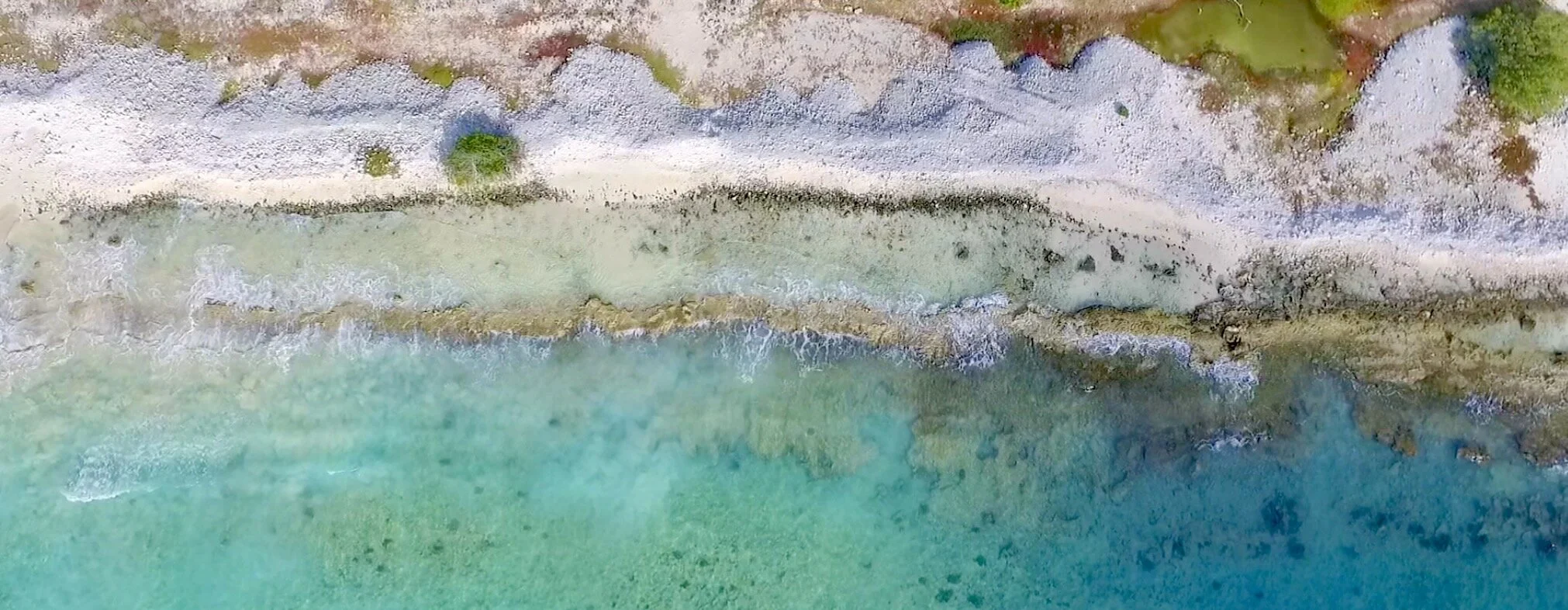 Ocean view from above