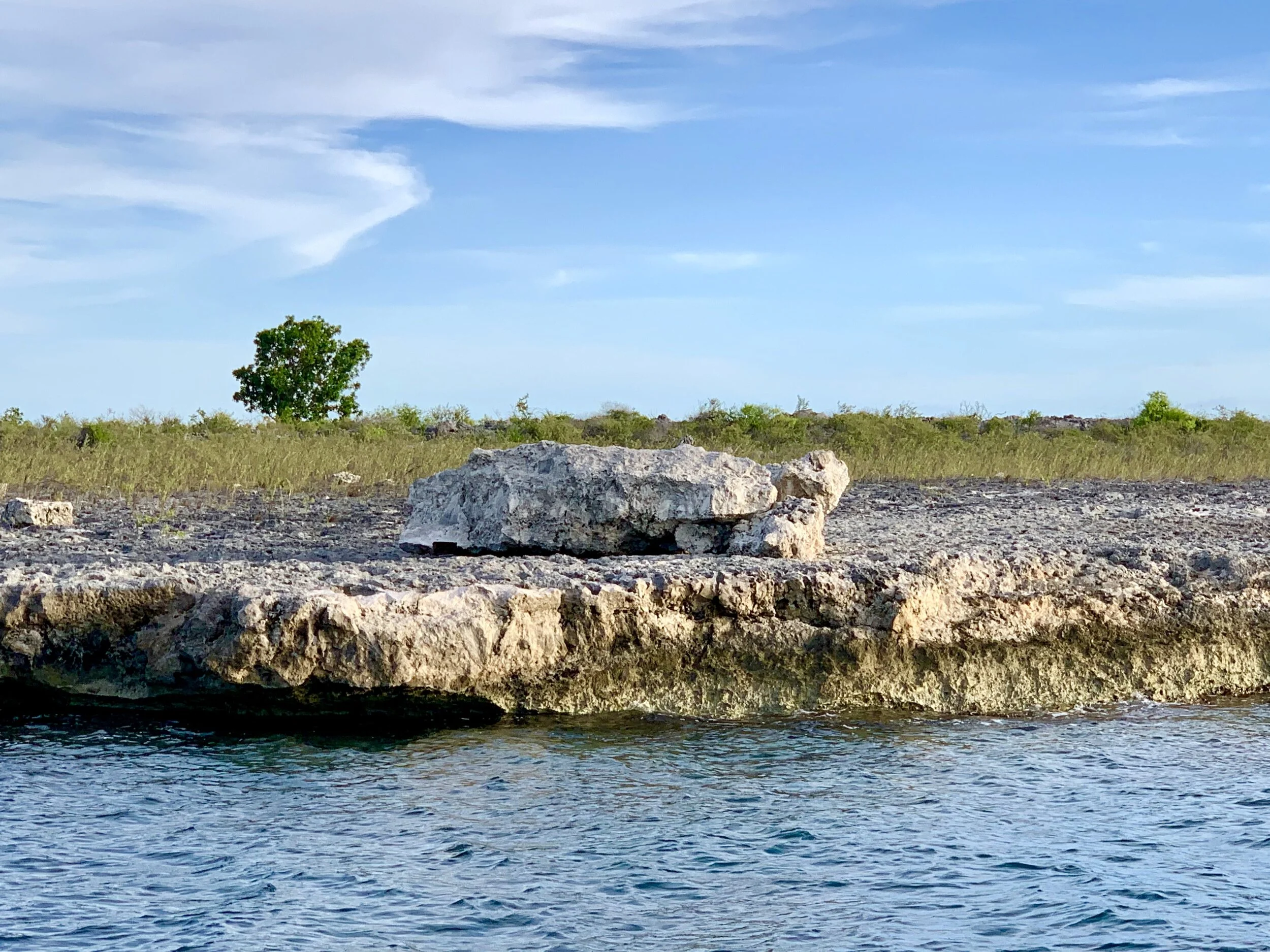 Turtle rock on Bonaire