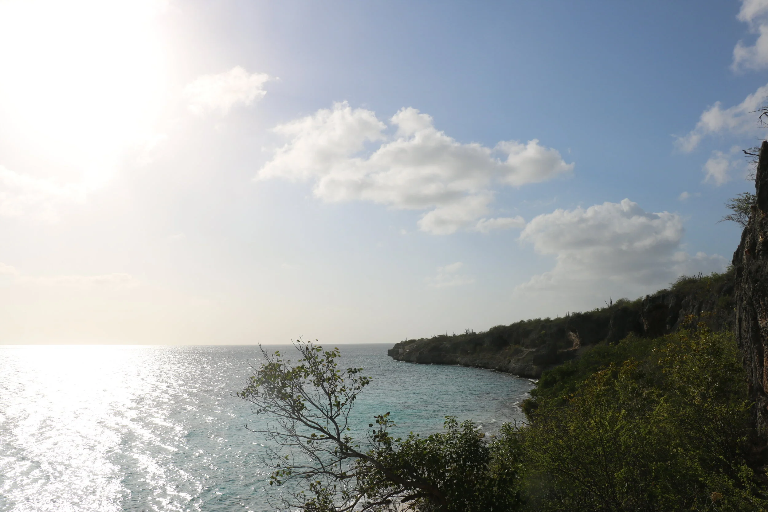 View 1000 steps Bonaire