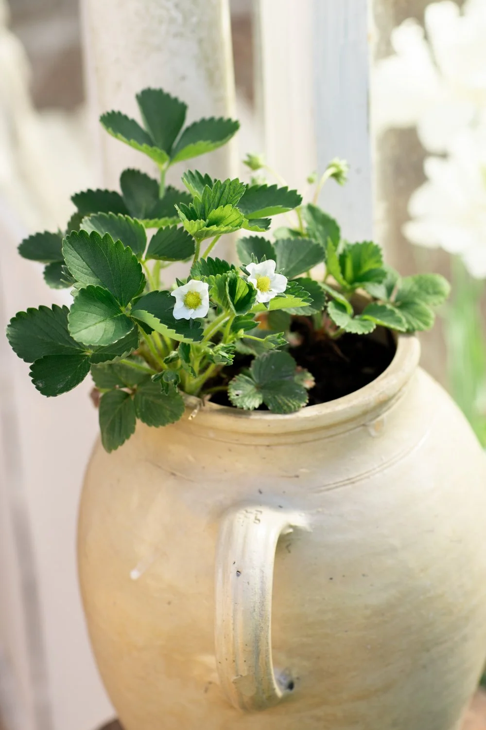 Jardins paysagisme © Eléonore Wallet -3.jpg