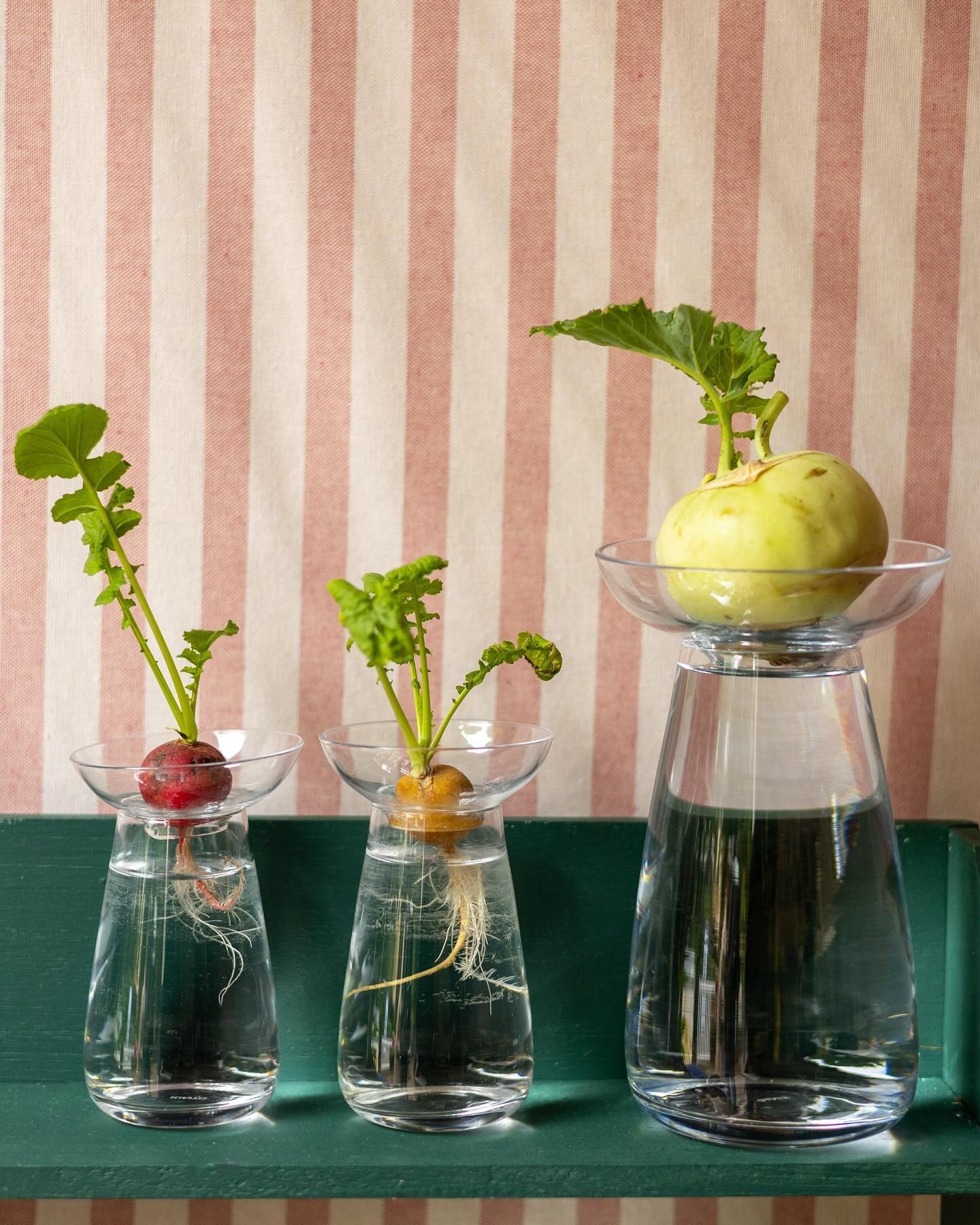 Imaginer une cabane de printemps pour le stand de Jardiniste &agrave; Jardins, jardin dans le parc de la Villa Windsor.🎪
Sc&eacute;nographie, relations presse et photos. 
Id&eacute;es des jolies confiseries de @alameredefamille souffl&eacute;e par @