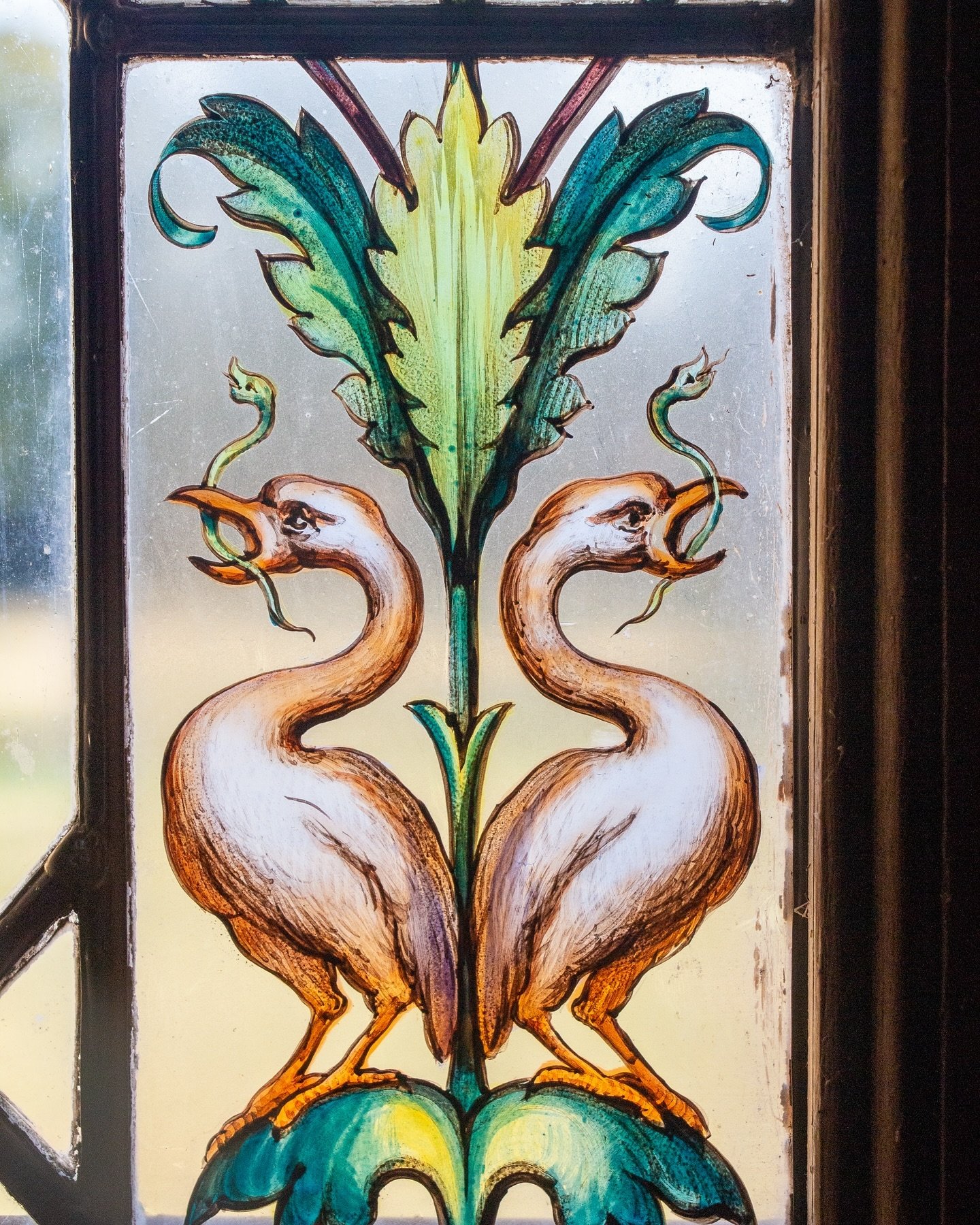 Volatiles de verre, gardiens du grand salon du @chateaudemeillant, une fois les portes referm&eacute;es sur les derniers visiteurs de la journ&eacute;e. 

&copy; Studio Province / @eleonoreallet 

#artdevivrealafrancaise&nbsp;#artdevivrealacampagne&n