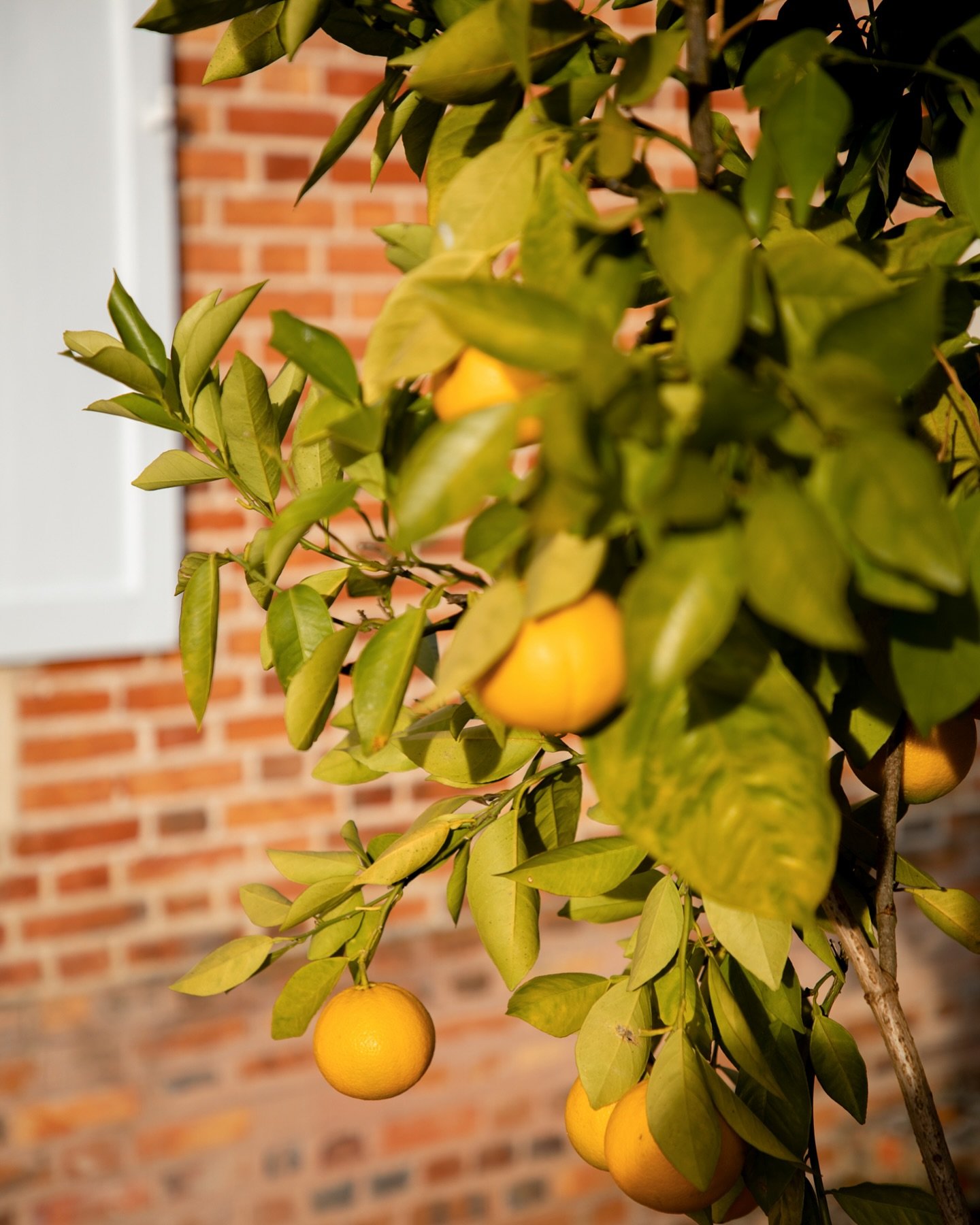 M&eacute;t&eacute;ores consolatrices au seuil de l&rsquo;hiver 

📸 El&eacute;onore Wallet&nbsp;@eleonorewallet