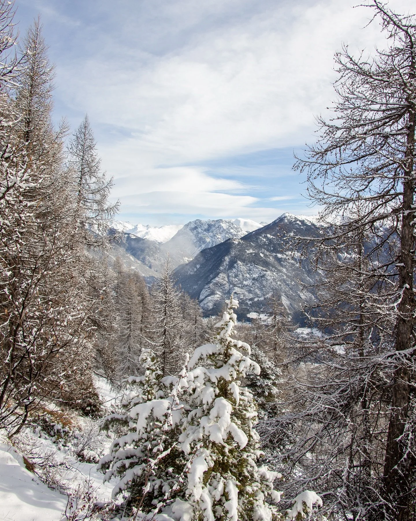 Vue heureuse des sommets repoudr&eacute;s, ignorant le printemps cavalier.

📸 El&eacute;onore Wallet&nbsp;@eleonorewallet