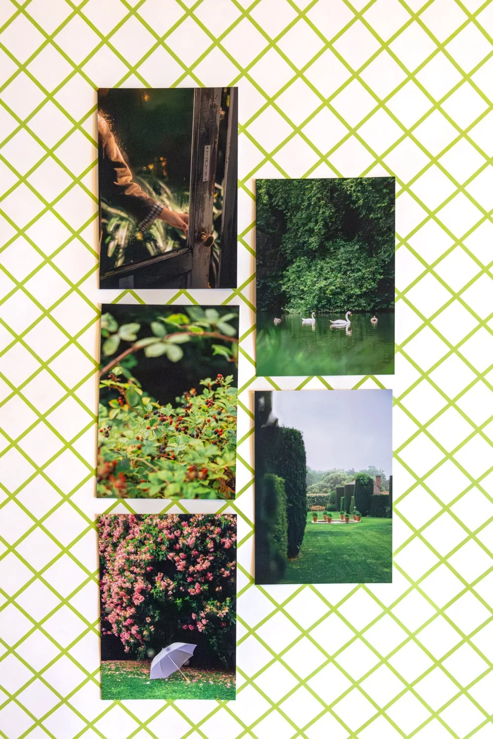 cartes postales  Jardins © Eléonore Wallet -2.jpg