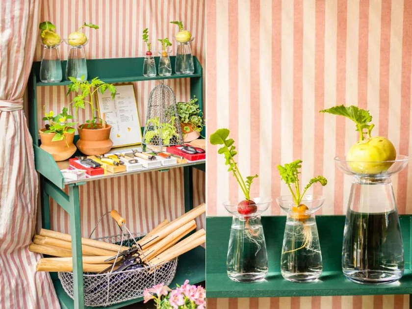 Scénographie & communication - Jardiniste à Jardins, jardin
