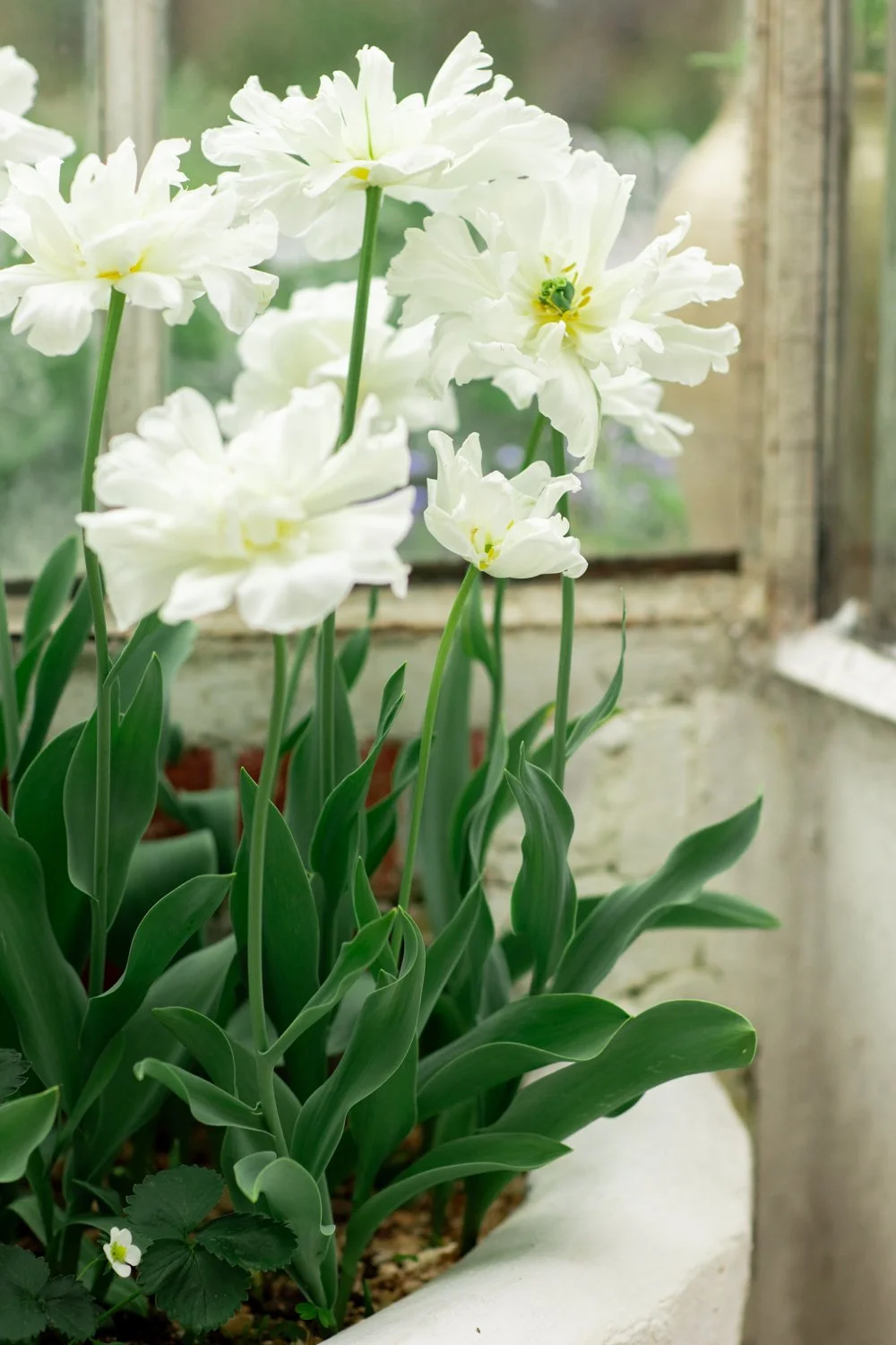 Jardins paysagisme © Eléonore Wallet -1.jpg