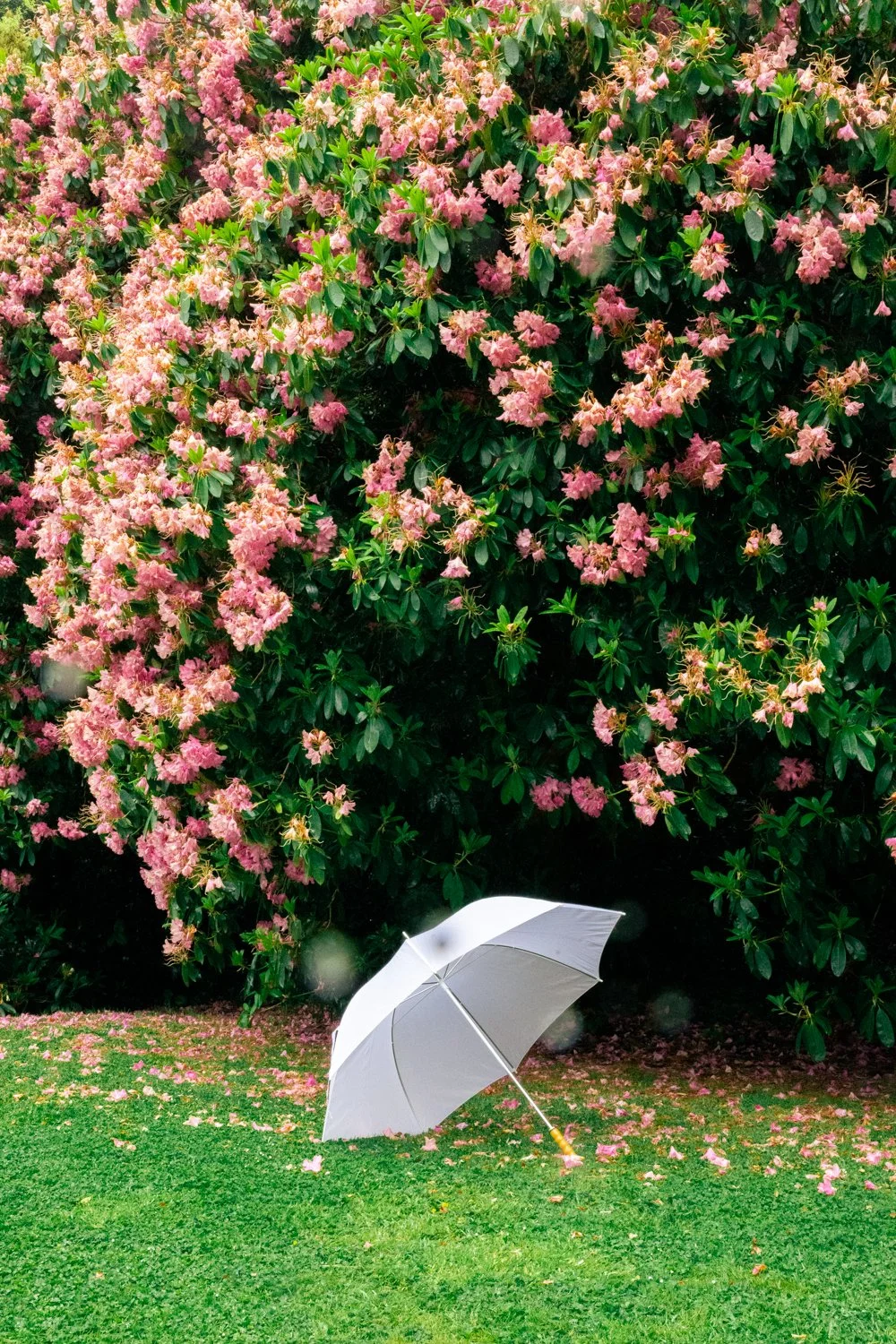 Garden Tour Jardins © Eléonore Wallet -4.jpg