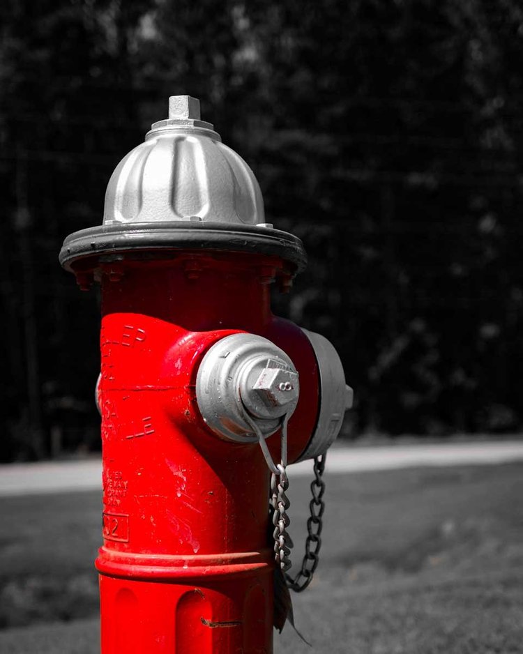 [Image: fireplugbwcolor.jpg?format=750w]