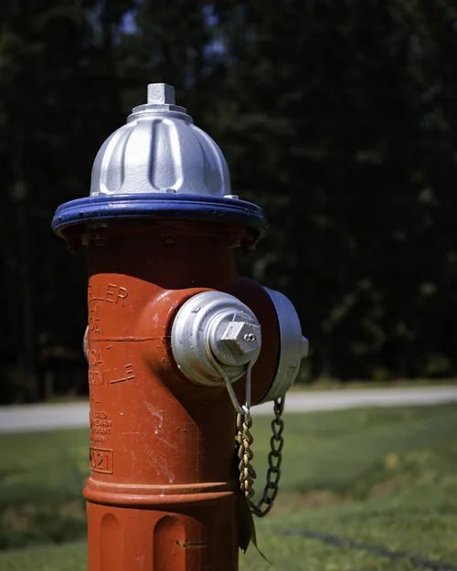 [Image: fireplugcolor.jpg?format=500w]