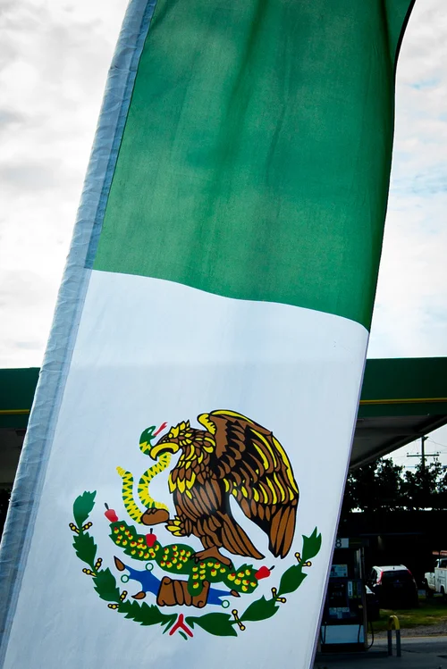 [Image: green.jpg?format=500w]