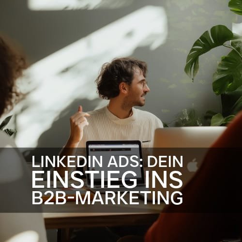 LinkedIn Ads: Dein Einstieg ins B2B-Marketing
