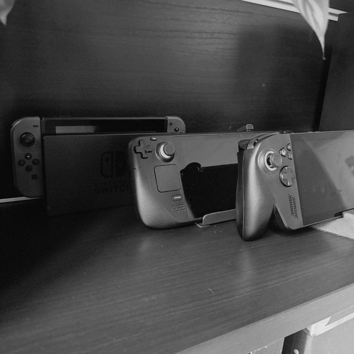 Switch - Steamdeck - ROG Xbox Alley