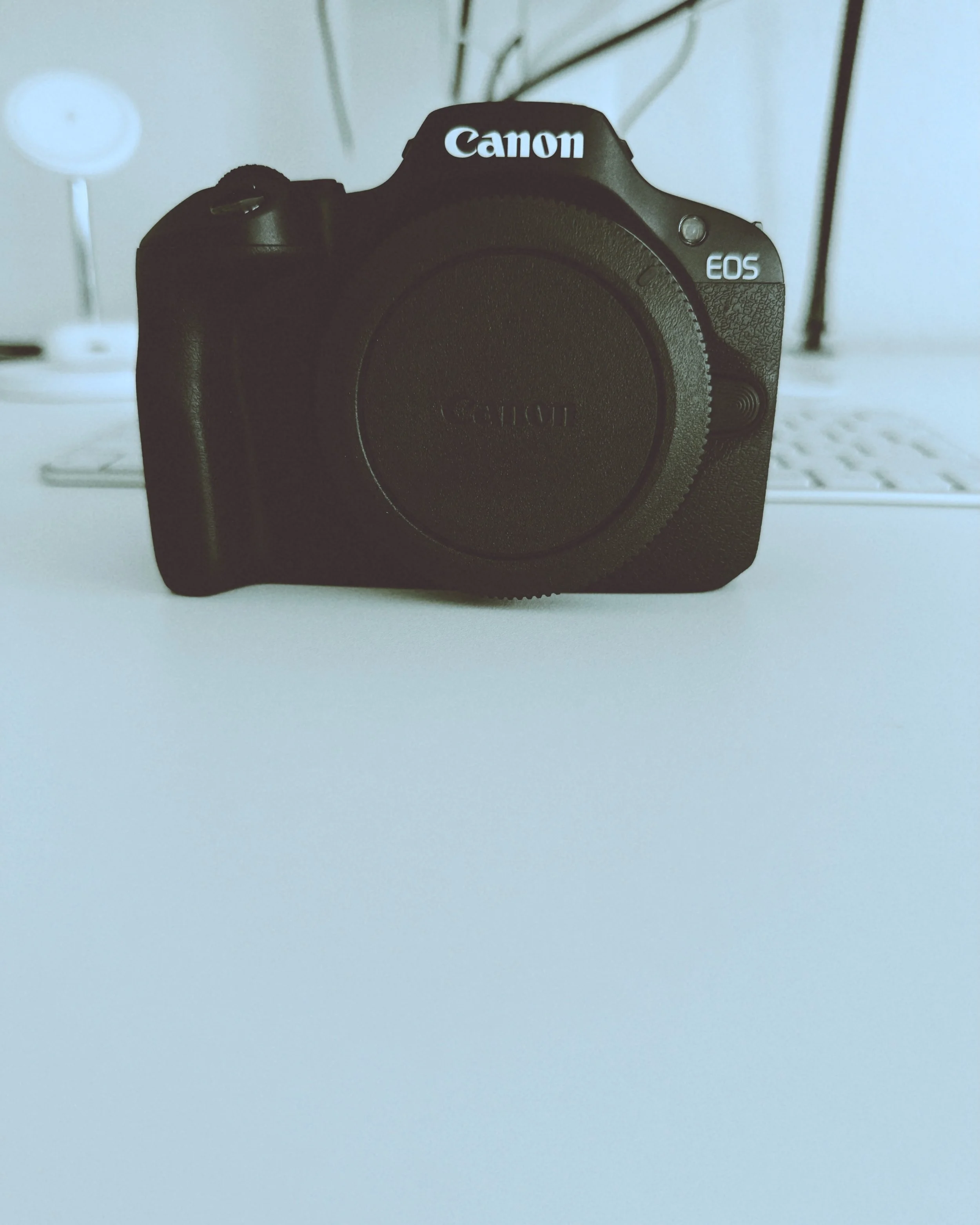 New in. Endlich wieder Canon. #sonysucks
