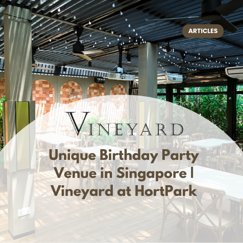 Best Birthday Party Venue in Singapore