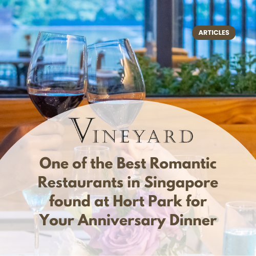 Best Romantic Dinner Places in Singapore 