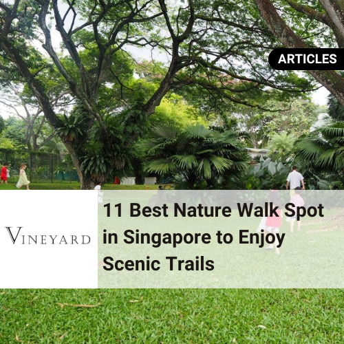 11 Best Nature Walk Spots Singapore 