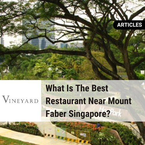Best Restaurant Near Mount Faber Singapore