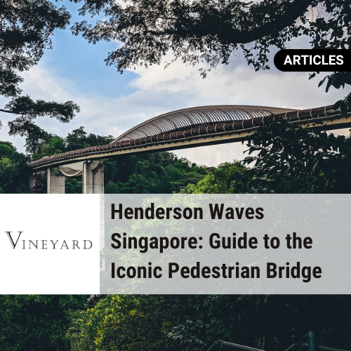 Henderson Waves Singapore: Guide to the Iconic Pedestrian Bridge