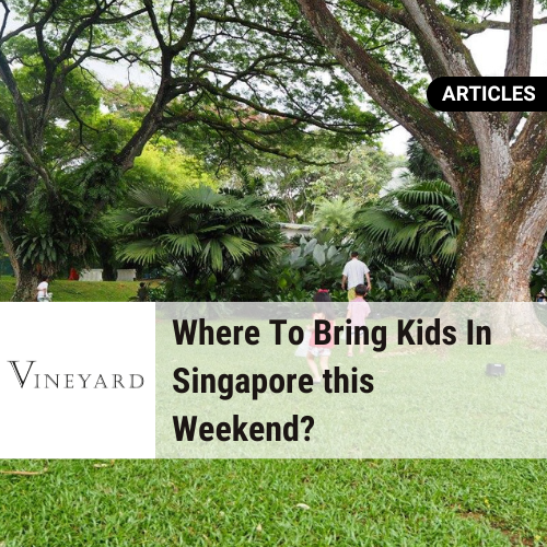 Where To Bring Kids In Singapore this Weekend?